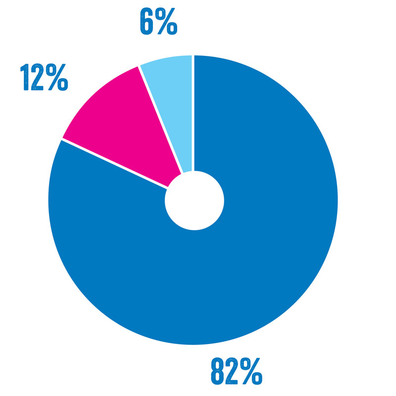 Kakediagram som viser at 82 prosent gikk til formålet.