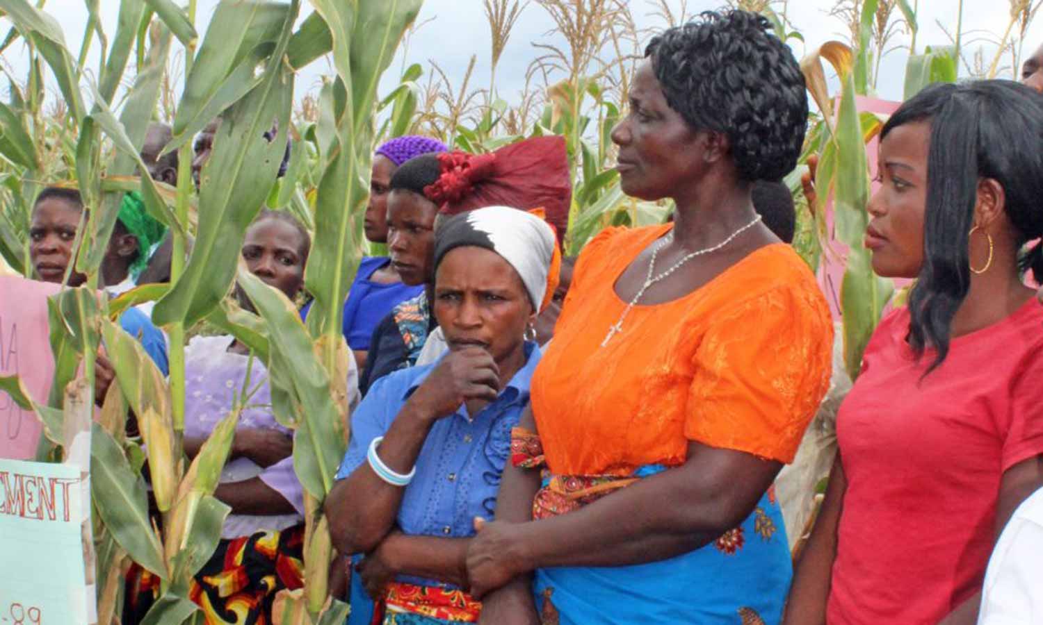 Kvinnelige bønder i Malawi.
