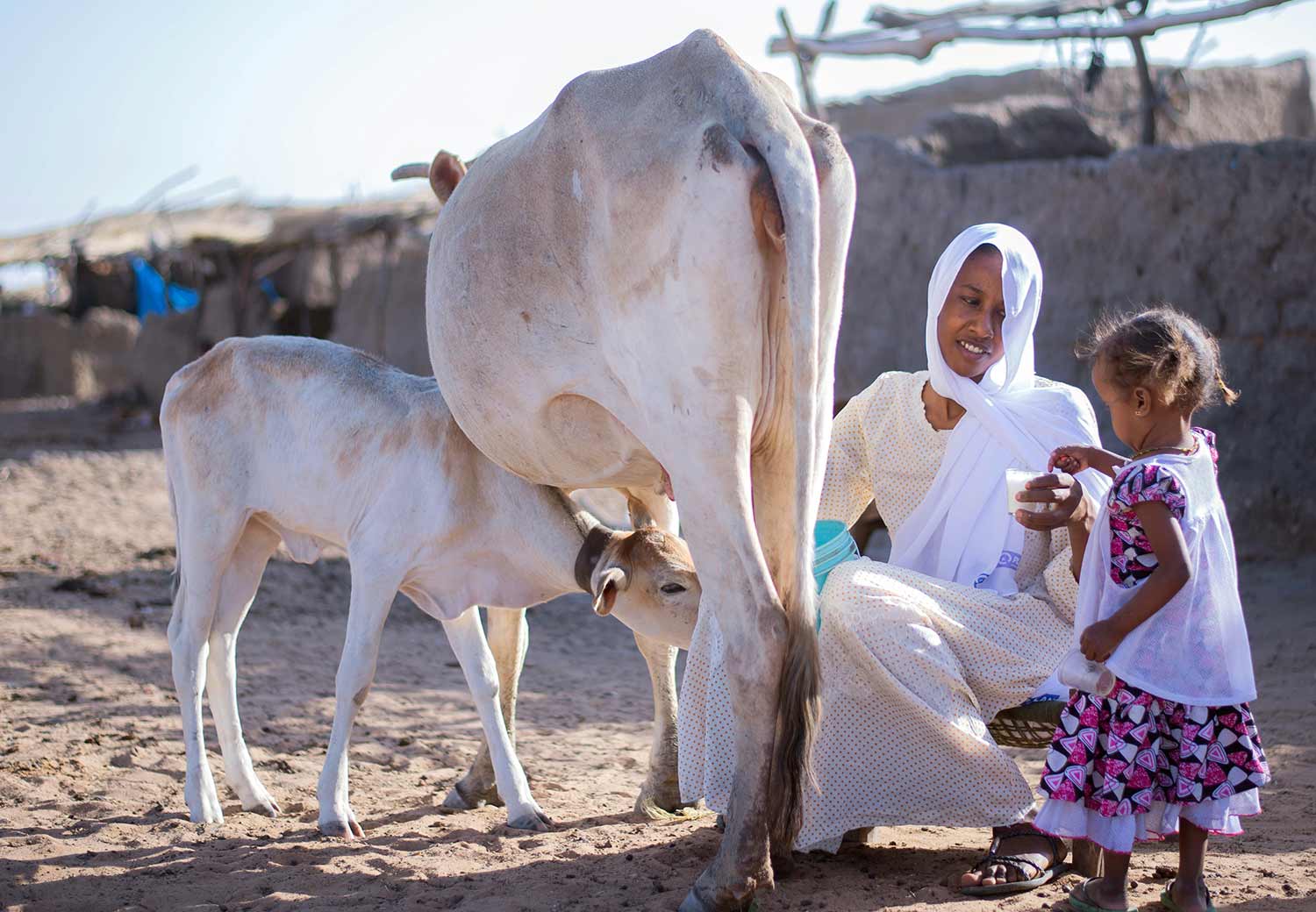 Zainab fra Niger ble tvunget til å gifte seg.