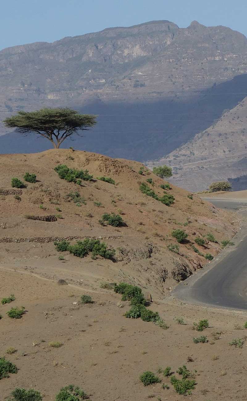 Oversiktsbilde fra Etiopia. Jenter i krise.