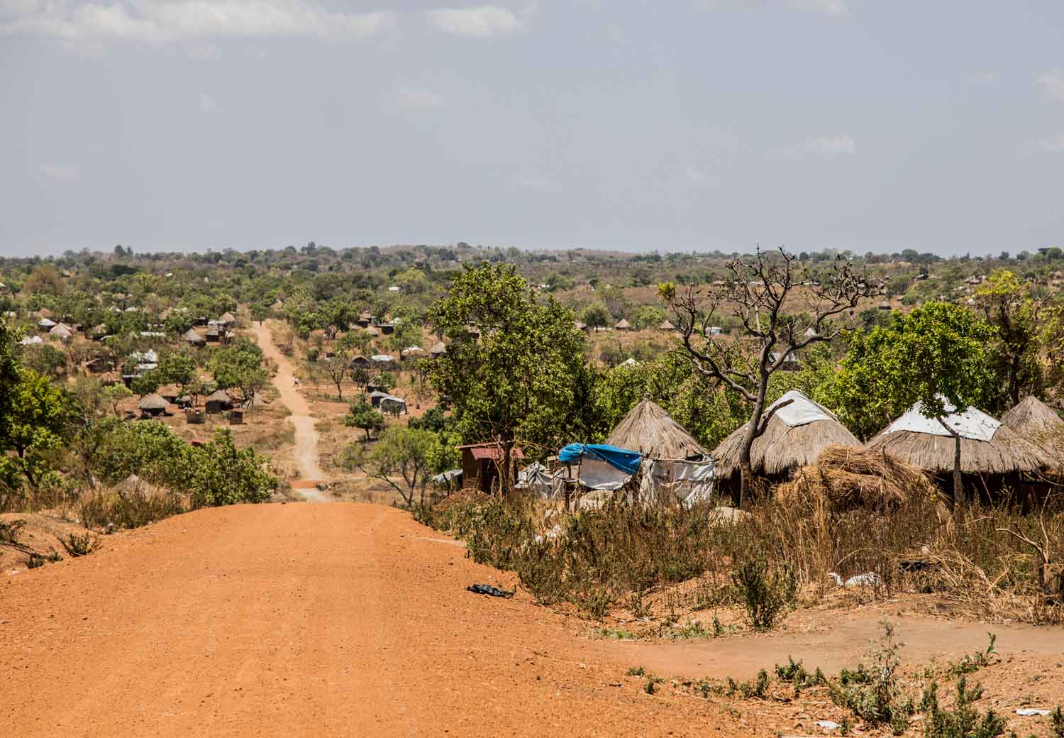 Jenter i krise: Flyktningeleir i Uganda.