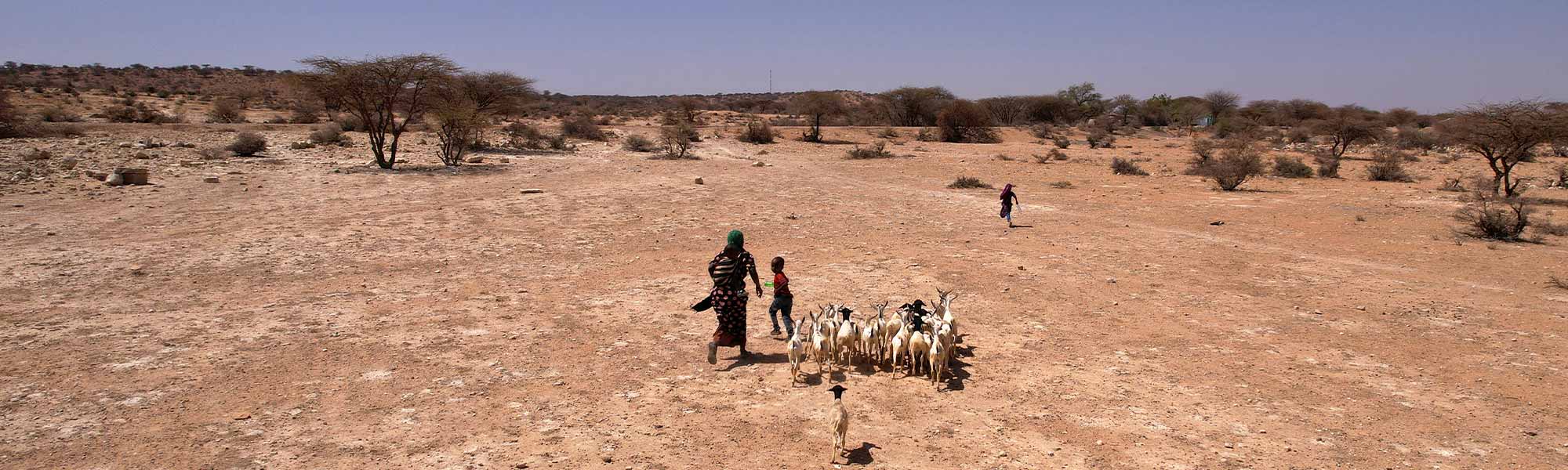 Najma fra Somaliland. Najma har flyktet med familien sin på grunn av tørke.