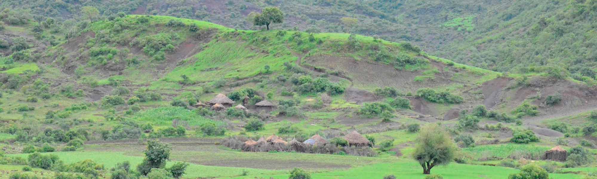 Hus i landskap åpent landskap i Etiopia