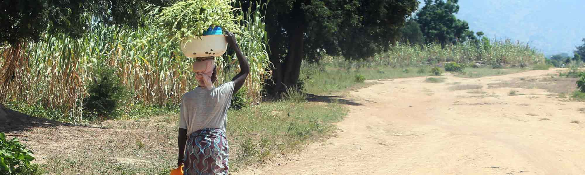 Kvinne bærer mat på hodet på landvei i Nigeria