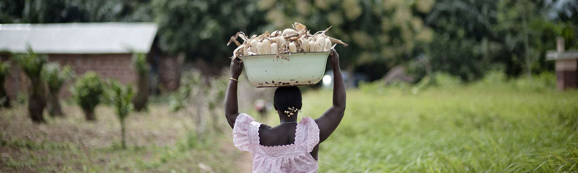 Kvinne bærer mat på hodet med landskap i bakgrunnen i Benin