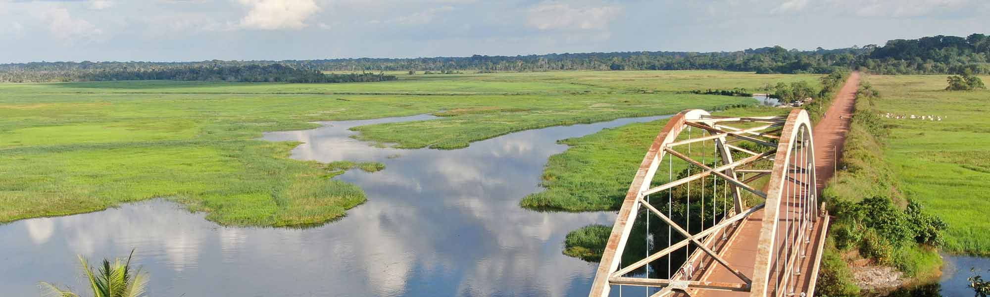 Landskap med bro over vann i Kamerun