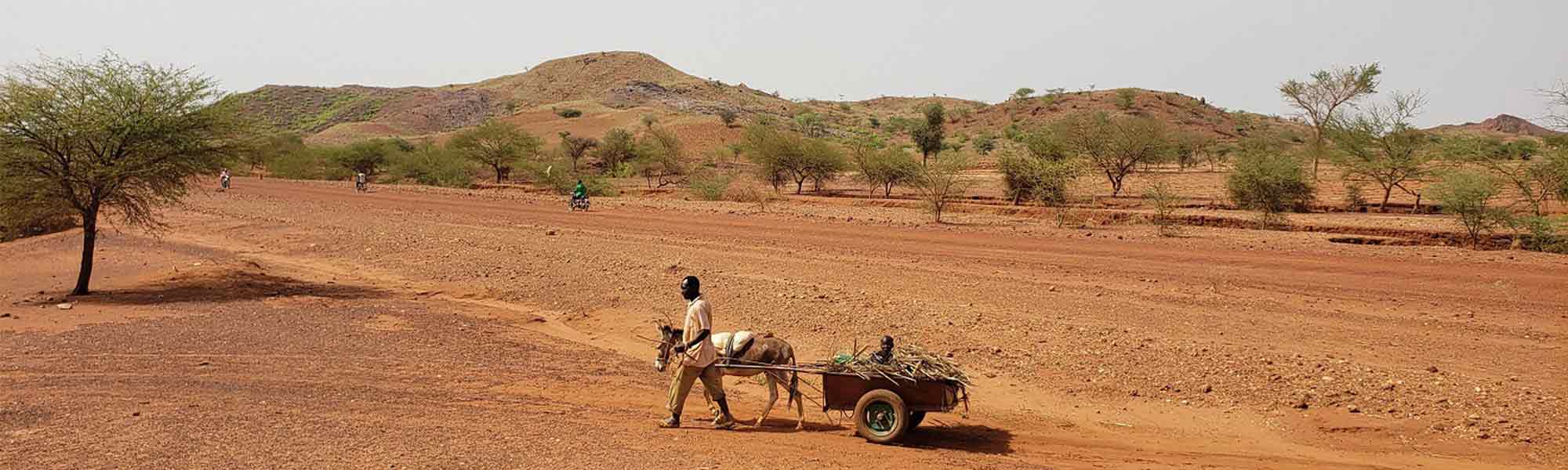 Mann med esel trekker kjerre med barn i i Burkina Faso