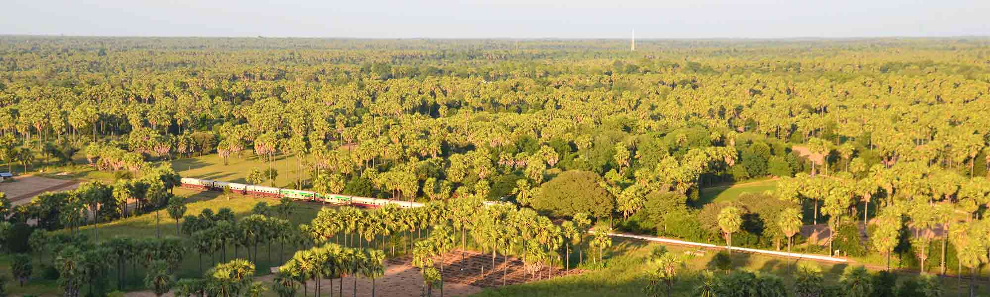 Toglinje gjennom grønnt landskap med palmer i Myanmar