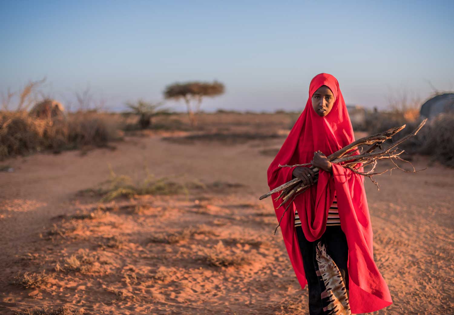 Jente i Somalia bærer ved og ser i kamera