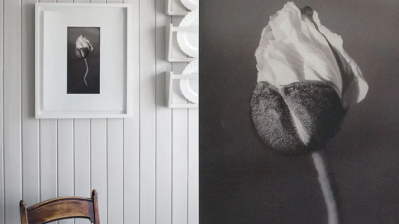 Gavetips til henne: Kunst
