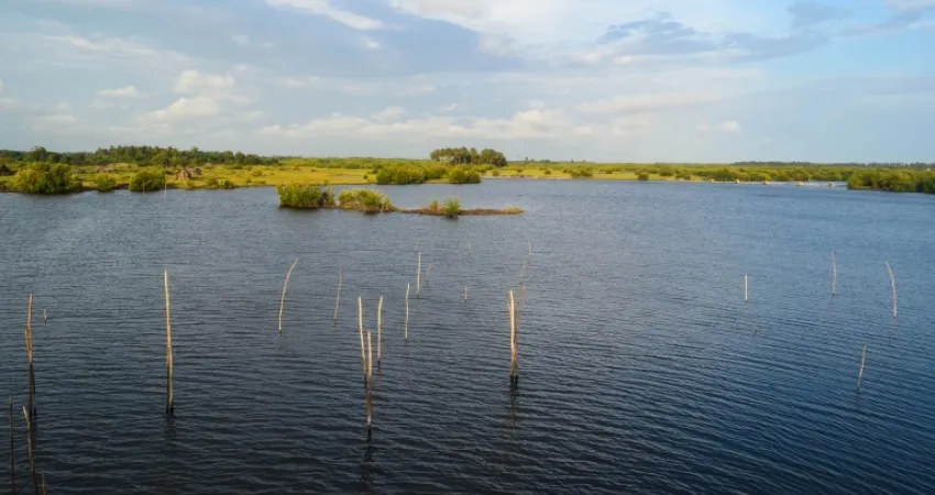 Sjø og frodig natur i Ouidah, Benin
