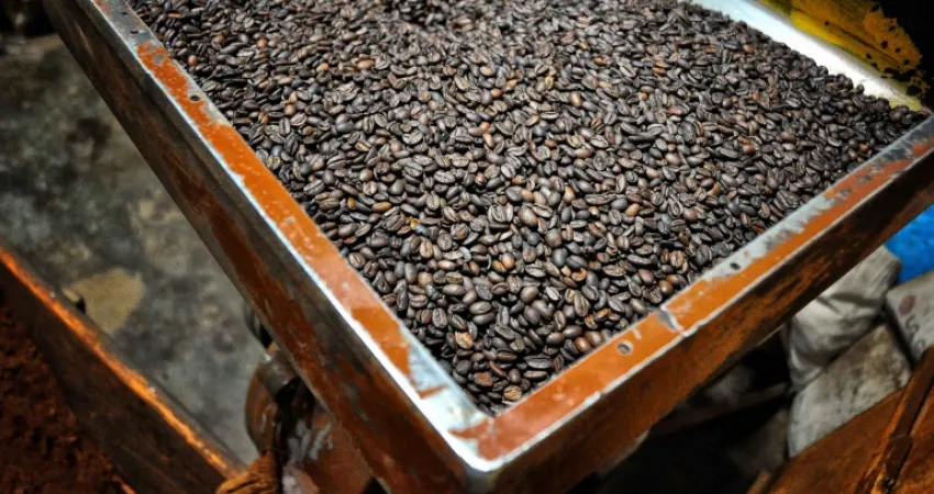 Nybrente kaffebønner
