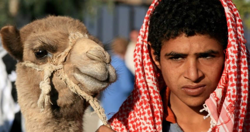 En beduiner med kamelen sin