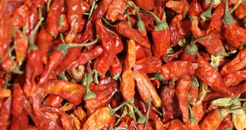 Tørket chili på markedet i Djibo