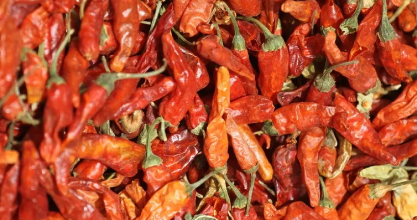 Tørket chili på markedet i Djibo