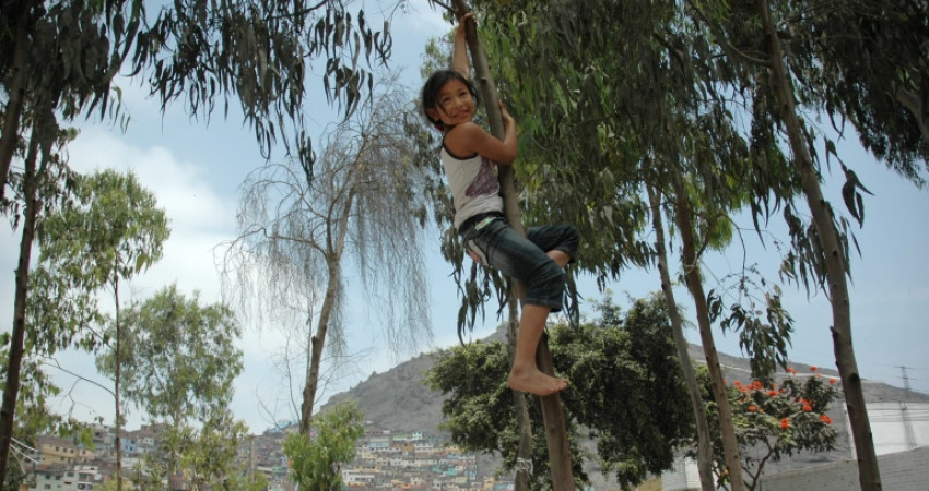 En jente klatrer i et tre