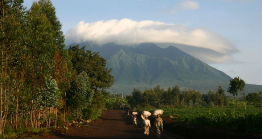 Volcanoes nasjonalpark får navnet sitt fra de fem vulkanfjellene Karisimbi, Bisoke, Muhabura, Gahinga og Sabyinyo.