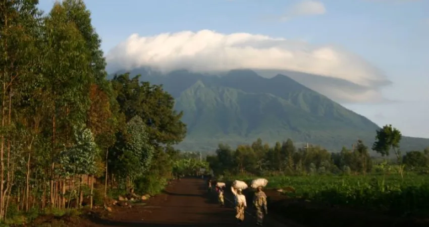Volcanoes nasjonalpark får navnet sitt fra de fem vulkanfjellene Karisimbi, Bisoke, Muhabura, Gahinga og Sabyinyo.