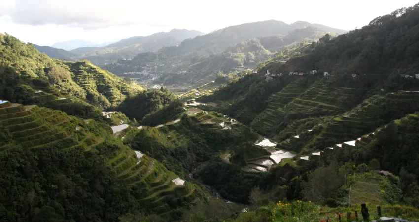Utsikt ut over risterrasser i Banaue
