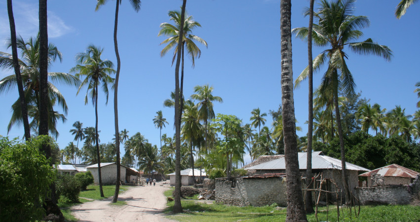 En liten landsby ligger innimellom palmene