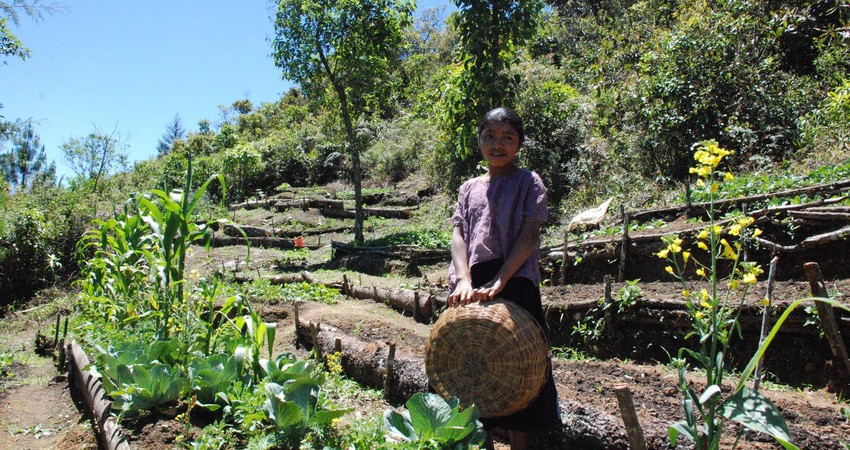 En jente står med en kurv i grønnsakshagen, klar til å høste inn