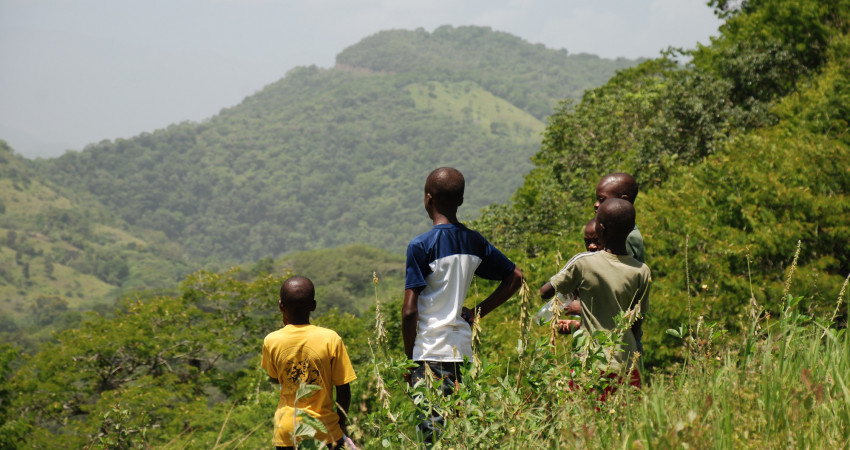 Fire gutter står på en åskam og kikker utover et frodig landskap