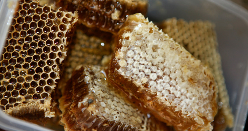 Honningkuber