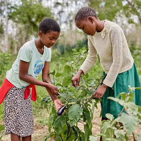 Barn med planter i Kenya
