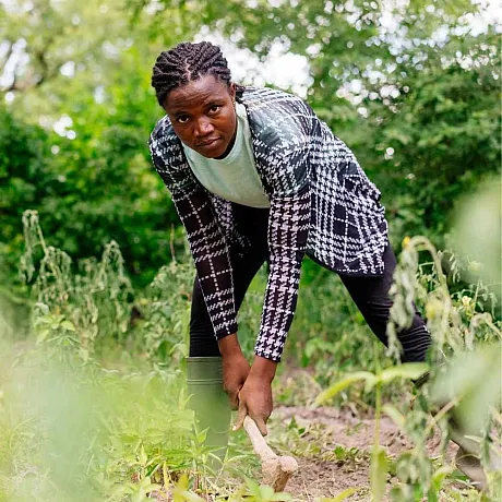 Ungdom holder på med jordbruk i Ghana